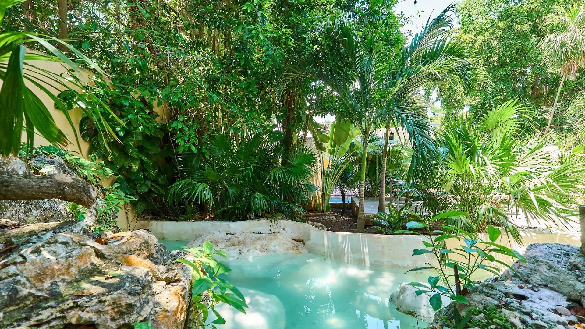 Stunning Mansion 6Br With Artificial Cenote And Private Pool With Ocean View contacts